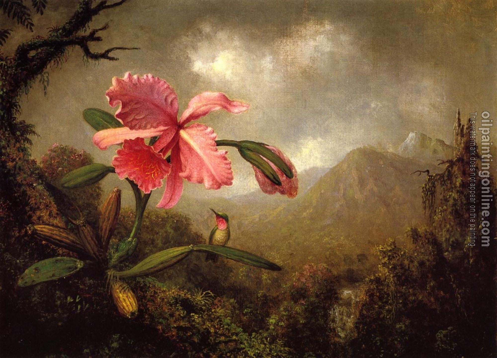 Heade, Martin Johnson - Orchid and Hummingbird near a Mountain Waterfall